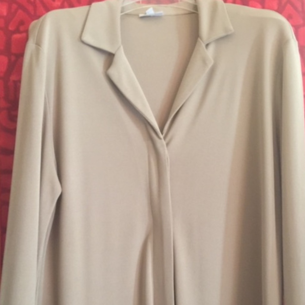 V-neck long sleeve blouse/blazer